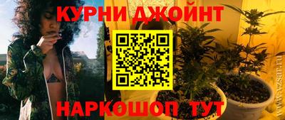 стафф Шелехов