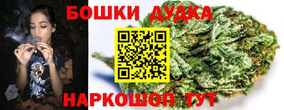 стафф Шелехов