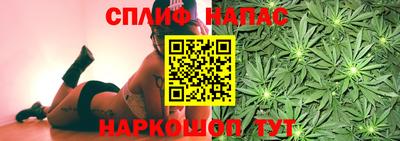 стафф Шелехов