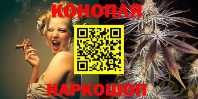 стафф Шелехов