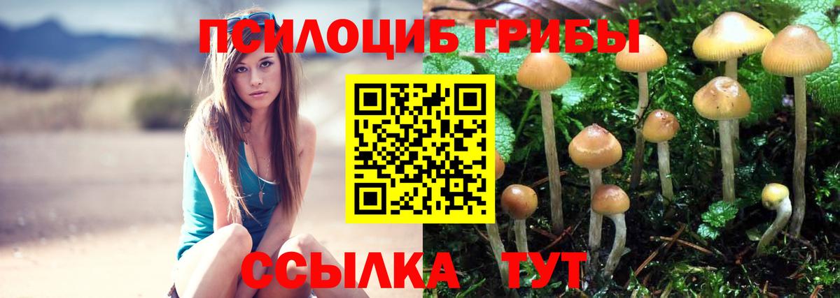 Домодедово  Галлюциногенные грибы мицелий  Вход с VPN 